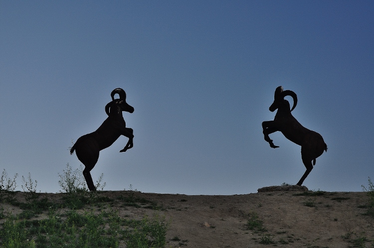 rams metal sculpture